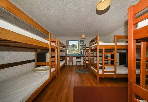 Gibbon Room 2 - Lazy Monkey Hostel Zadar