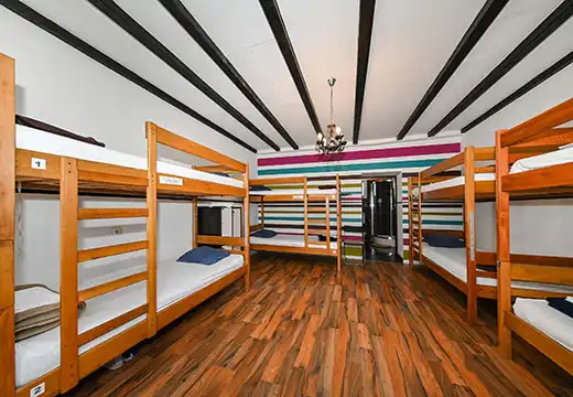 Gorilla Room 4 - Lazy Monkey Hostel Zadar